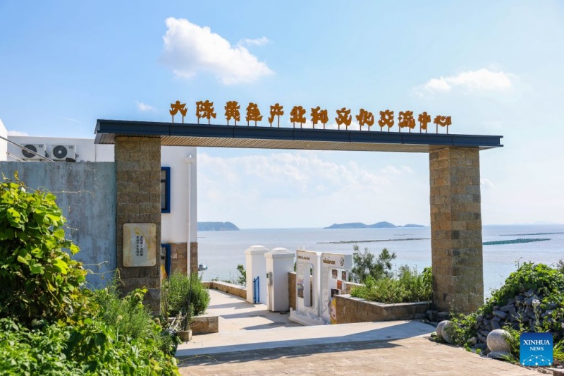 Zhejiang : le district de Jiaojiang développe la filière de la grande courbine jaune