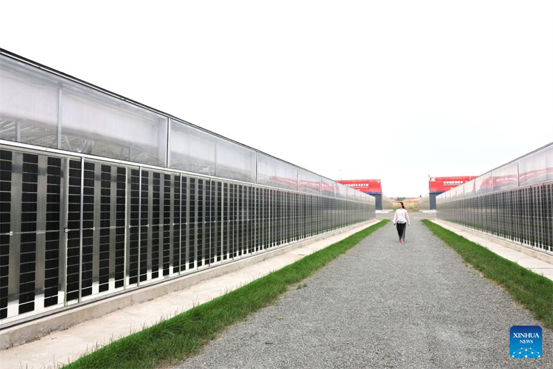 Ningxia : le district de Hongsibu construit des serres photovoltaïques pour stimuler l'agriculture écologique