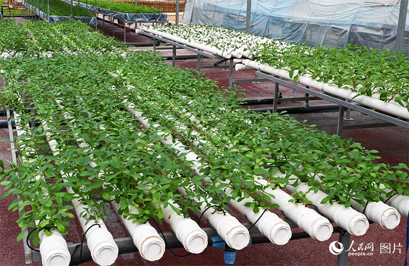 Cultiver intelligemment les terres fertiles, ouvrir intelligemment l'avenir