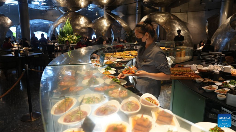 Ningxia : l'industrie du « thé du matin » devient un nouveau moteur de croissance économique à Wuzhong
