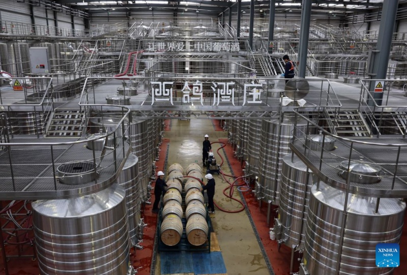 Le Ningxia développe son industrie viticole pour stimuler l'économie locale