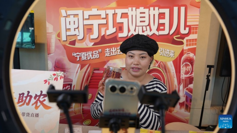 Ningxia : comment un « village-théâtre » met en scène l'histoire de populations relocalisées