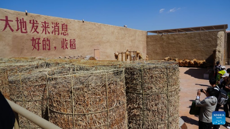 Ningxia : comment un « village-théâtre » met en scène l'histoire de populations relocalisées