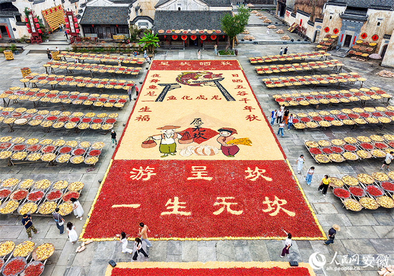Anhui : le séchage des récoltes d'automne dans le vieux village de Chengkan bat son plein