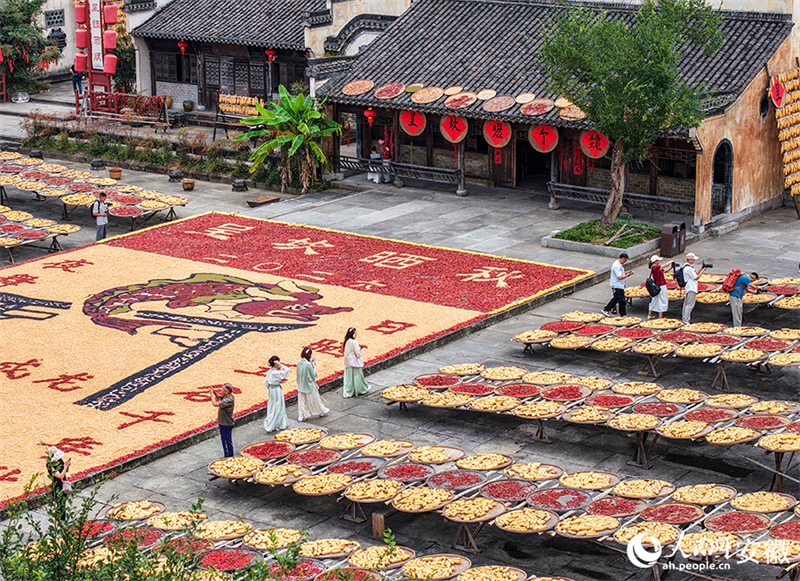 Anhui : le séchage des récoltes d'automne dans le vieux village de Chengkan bat son plein