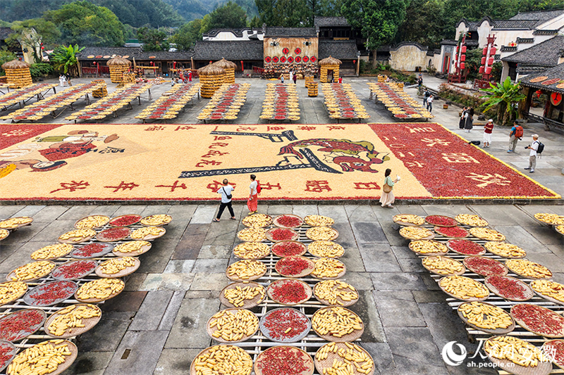 Anhui : le séchage des récoltes d'automne dans le vieux village de Chengkan bat son plein