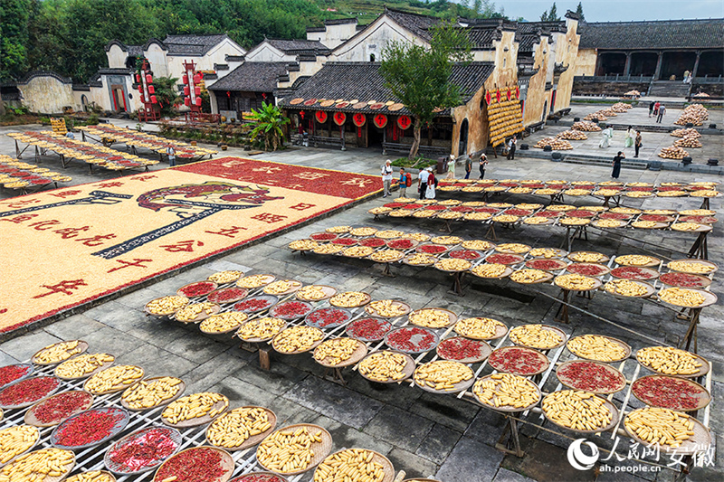 Anhui : le séchage des récoltes d'automne dans le vieux village de Chengkan bat son plein