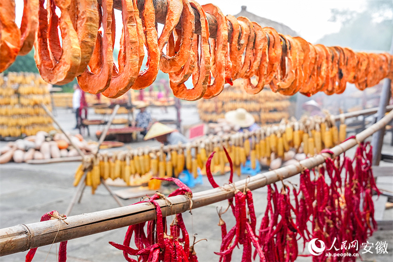 Anhui : le séchage des récoltes d'automne dans le vieux village de Chengkan bat son plein