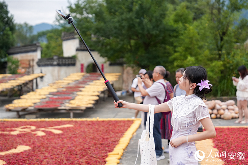 Anhui : le séchage des récoltes d'automne dans le vieux village de Chengkan bat son plein
