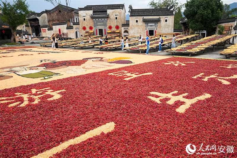 Anhui : le séchage des récoltes d'automne dans le vieux village de Chengkan bat son plein