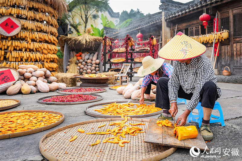 Anhui : le séchage des récoltes d'automne dans le vieux village de Chengkan bat son plein