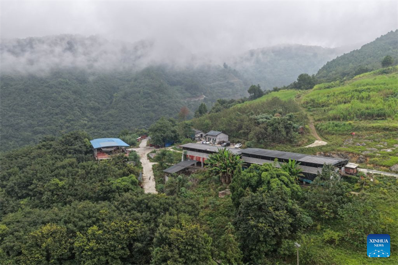 Chongqing : le district de Qijiang stimule la revitalisation rurale grâce au « tourisme rouge » et au développement d'une agriculture moderne