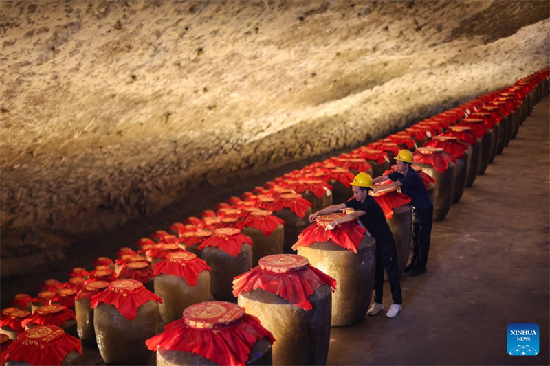 Chongqing : le district de Qijiang stimule la revitalisation rurale grâce au « tourisme rouge » et au développement d'une agriculture moderne