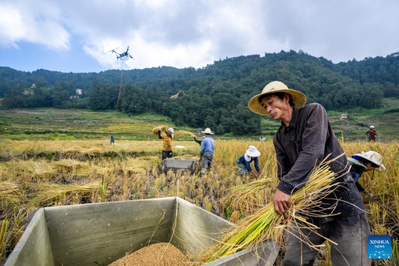 Yunnan : à la découverte des rizières en terrasses des Hani à Yuanyang