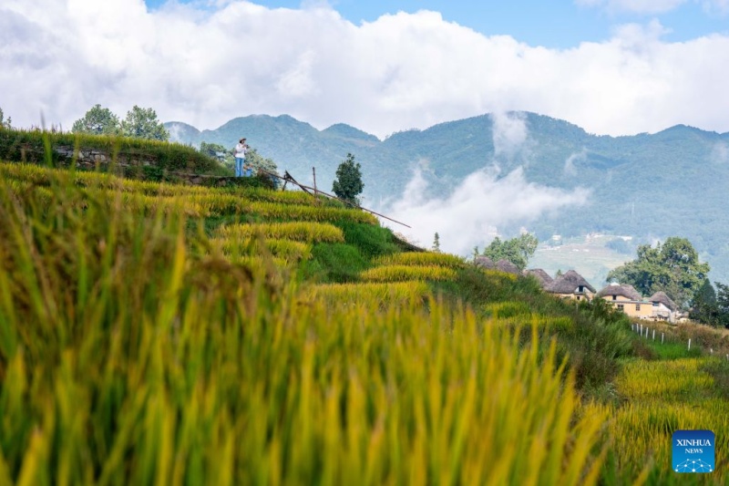 Yunnan : à la découverte des rizières en terrasses des Hani à Yuanyang