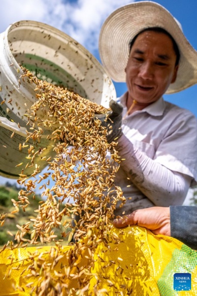 Yunnan : à la découverte des rizières en terrasses des Hani à Yuanyang