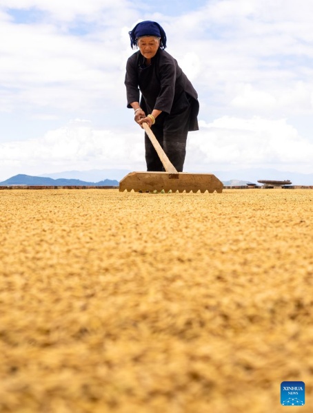 Yunnan : à la découverte des rizières en terrasses des Hani à Yuanyang