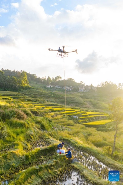 Yunnan : à la découverte des rizières en terrasses des Hani à Yuanyang
