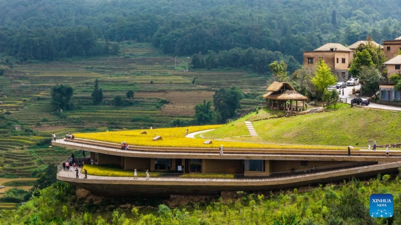 Yunnan : à la découverte des rizières en terrasses des Hani à Yuanyang