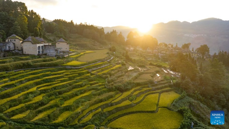 Yunnan : à la découverte des rizières en terrasses des Hani à Yuanyang
