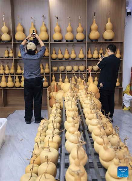 Shandong : l'industrie de la calebasse prospère à Liaocheng