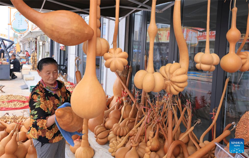 Shandong : l'industrie de la calebasse prospère à Liaocheng