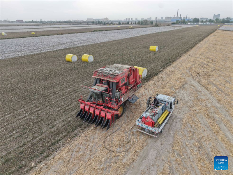 Xinjiang : un producteur de coton de Shawan saisit de nouvelles opportunités grâce à la modernisation agricole
