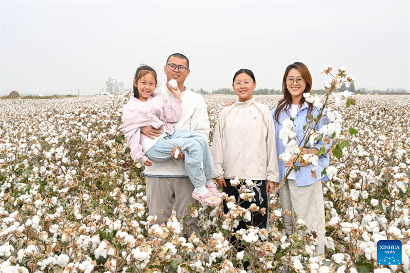 Xinjiang : un producteur de coton de Shawan saisit de nouvelles opportunités grâce à la modernisation agricole