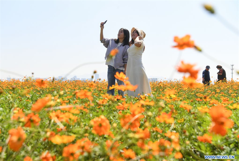 La Chine enregistre 826 millions de voyages touristiques intérieurs pendant les congés de la Fête nationale 2026