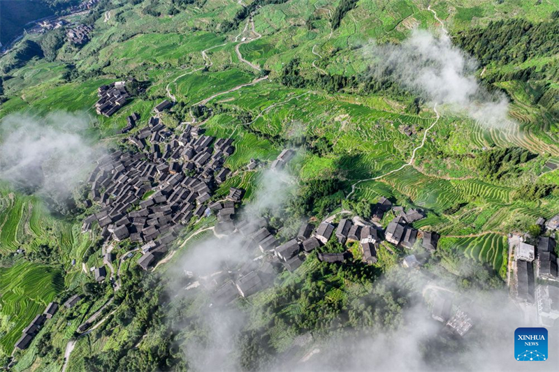 Guangxi : les visiteurs étrangers affluent à Longji pour découvrir la vie rurale traditionnelle de l'ethnie Zhuang