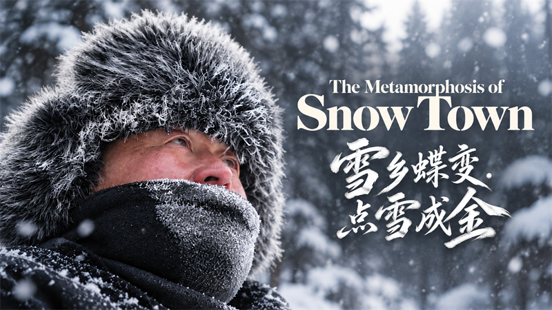 Heilongjiang : la transformation de la « Ville des Neiges », ou comment la neige et la glace ont ouvert la voie à la prospérité pour la région des terres noires