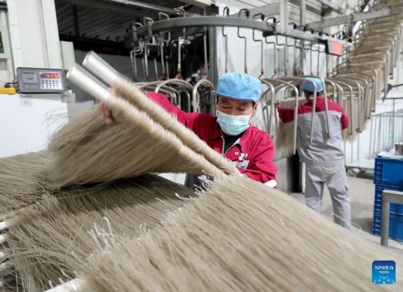Hebei : le district de Lulong développe une filière industrielle de la patate douce