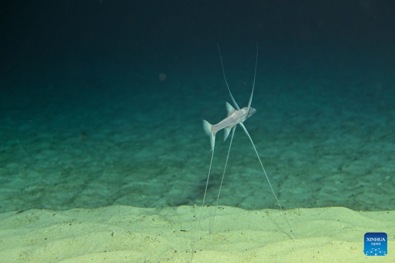 Le submersible habité chinois Jiaolong réalise sa 470e plongée en grande profondeur dans le Pacifique ouest