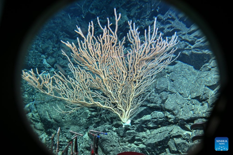 Le submersible habité chinois Jiaolong réalise sa 470e plongée en grande profondeur dans le Pacifique ouest