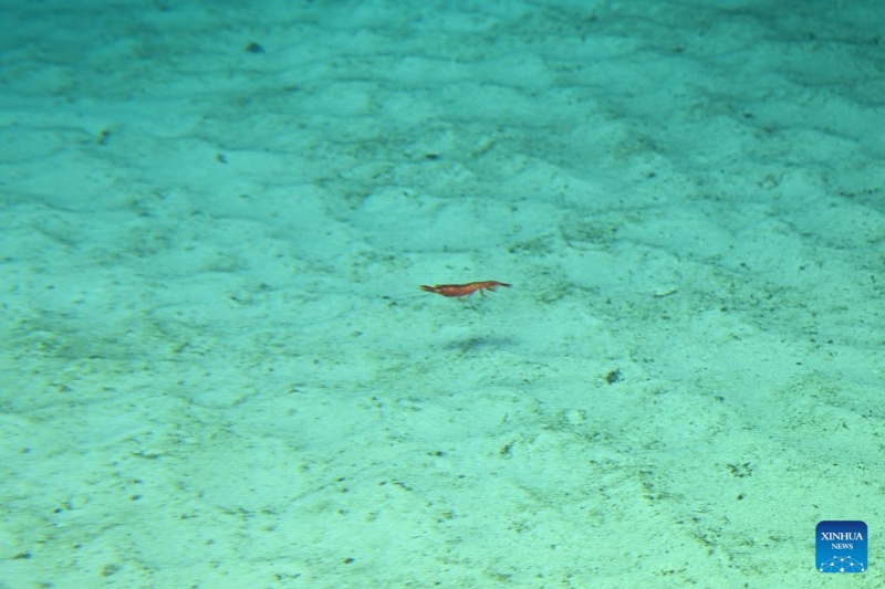 Le submersible habité chinois Jiaolong réalise sa 470e plongée en grande profondeur dans le Pacifique ouest
