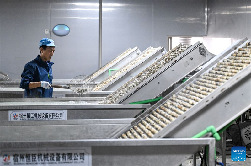 Zhejiang : le développement de centres d'élevage de cailles intelligents accroît les revenus des agriculteurs de Jinhua