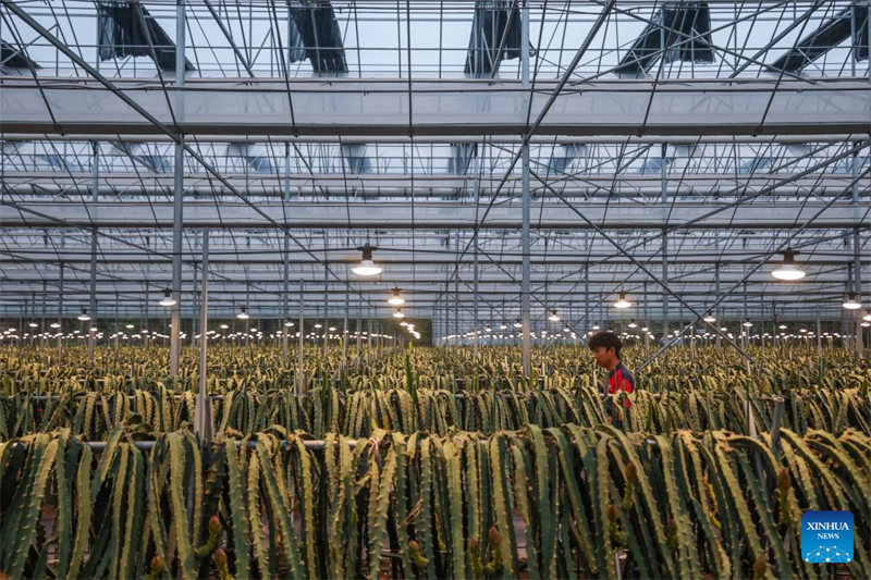Zhejiang : à la découverte du parc industriel des sciences et technologies agricoles de Jinhua
