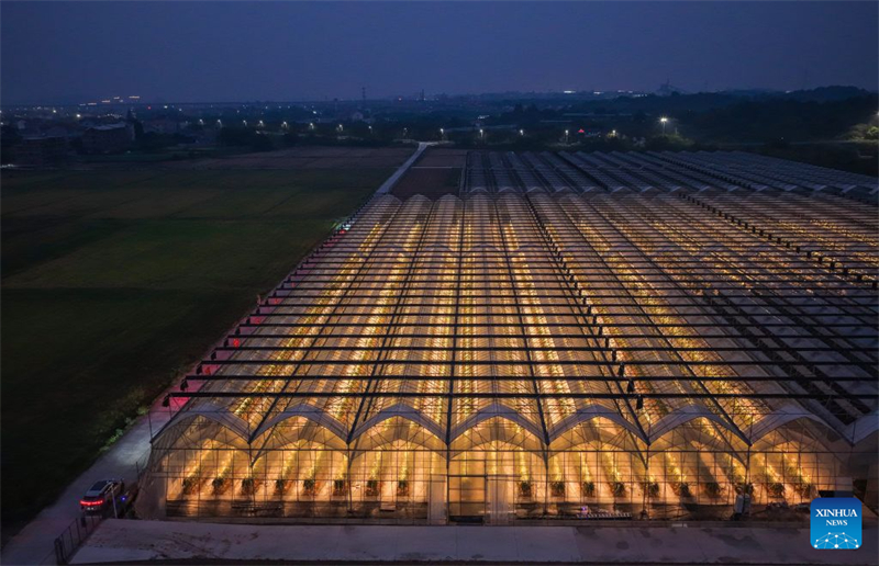 Zhejiang : à la découverte du parc industriel des sciences et technologies agricoles de Jinhua