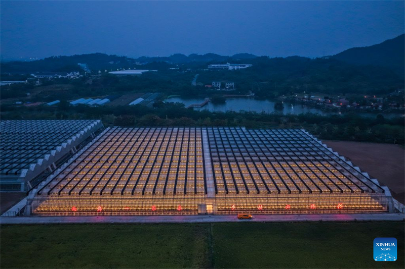 Zhejiang : à la découverte du parc industriel des sciences et technologies agricoles de Jinhua