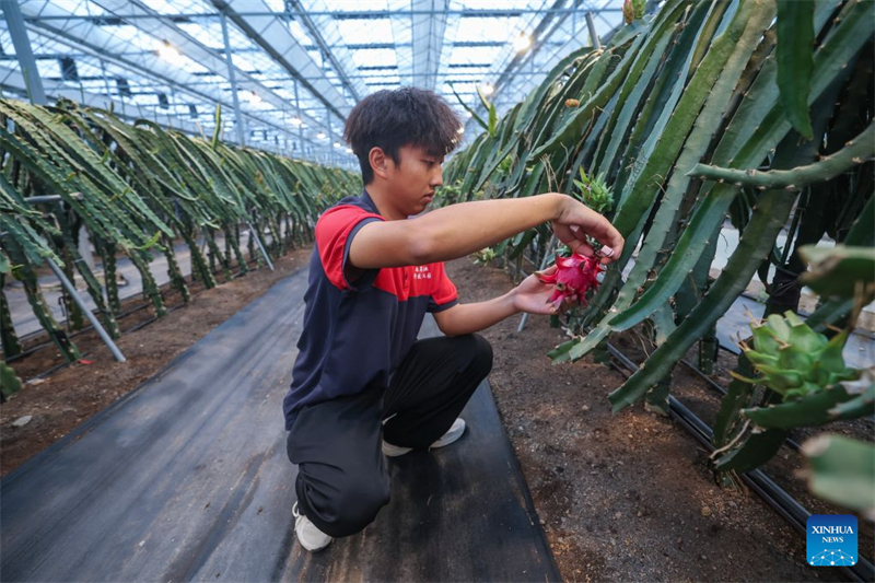 Zhejiang : à la découverte du parc industriel des sciences et technologies agricoles de Jinhua