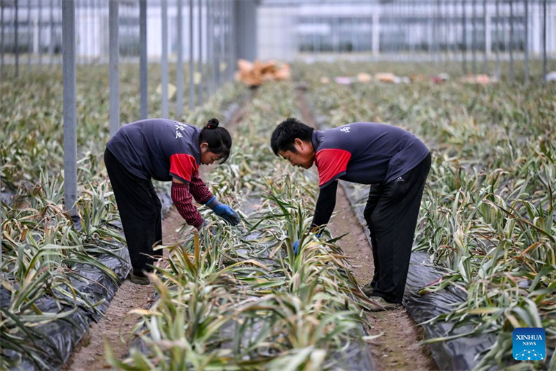 Zhejiang : à la découverte du parc industriel des sciences et technologies agricoles de Jinhua