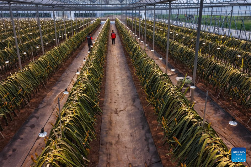 Zhejiang : à la découverte du parc industriel des sciences et technologies agricoles de Jinhua