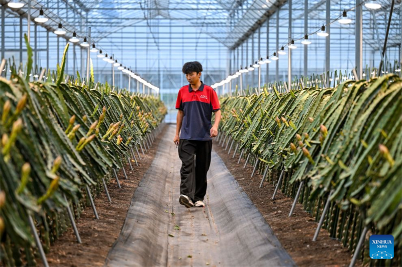 Zhejiang : à la découverte du parc industriel des sciences et technologies agricoles de Jinhua
