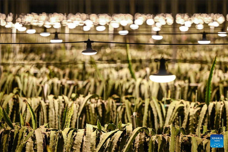 Zhejiang : à la découverte du parc industriel des sciences et technologies agricoles de Jinhua