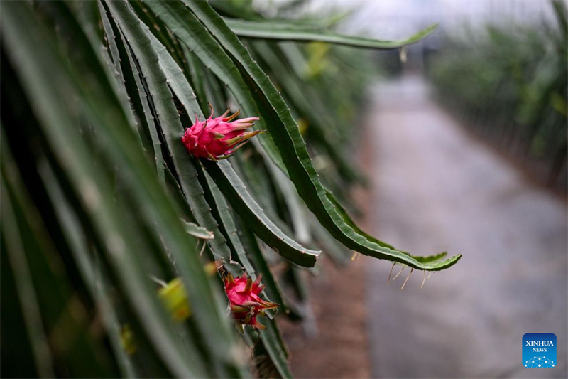 Zhejiang : à la découverte du parc industriel des sciences et technologies agricoles de Jinhua