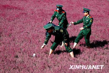 Download Theme de la plage chine For Free