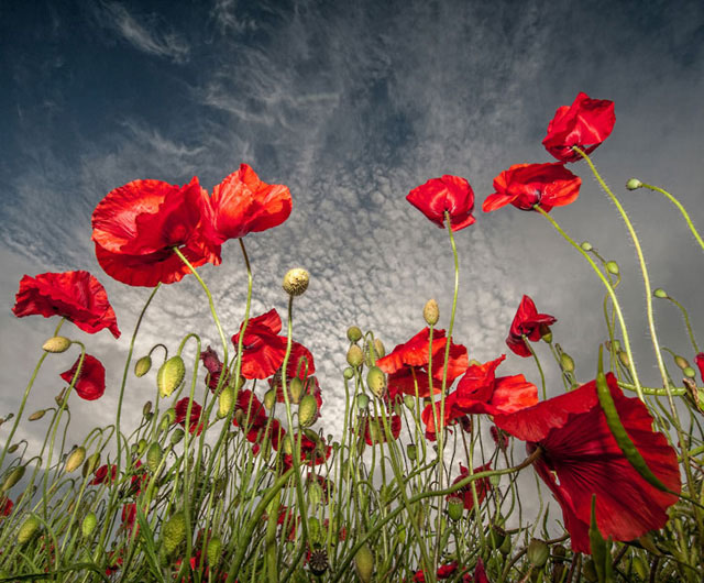 Les plus beaux paysages de Grande-Bretagne vus par des photographes (8)