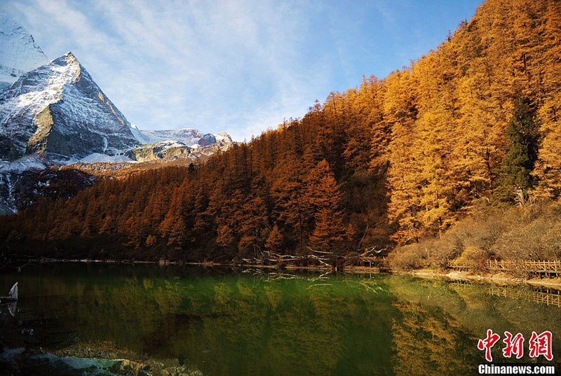 L'automne du dernier Shangri-La (3)