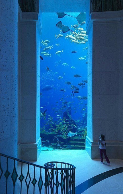 Un aquarium à Dubaï