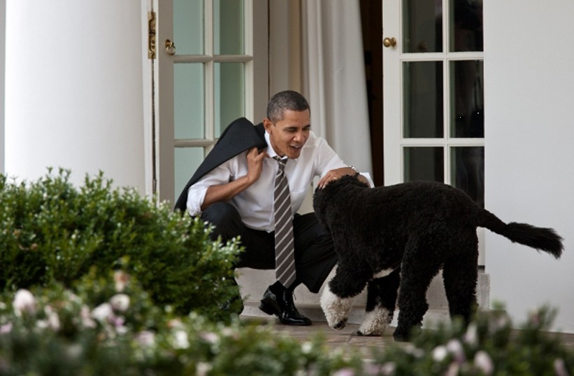 Barack Obama sous l'objectif des photographes (10)